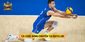 Cá Cược Bóng Chuyền Tại Bayclub
