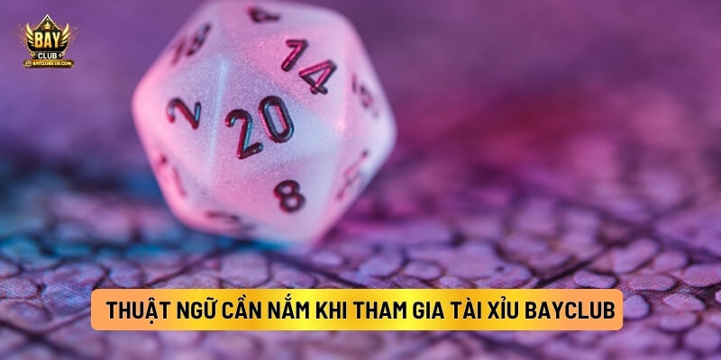 Bí Quyết Chơi Tài Xỉu Bayclub Hiệu Quả Dành Cho Tân Thủ 3 Các thuật ngữ cần nắm khi tham gia Tài Xỉu Bayclub