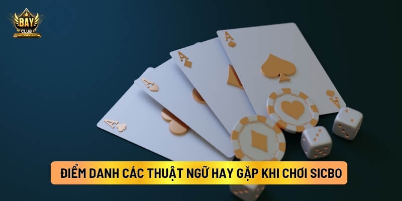 Điểm Danh Nhanh Các Thuật Ngữ Hay Gặp Khi Chơi Sicbo