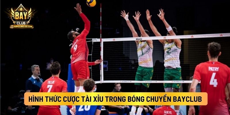 Hình Thức Cược Tài Xỉu Trong Bóng Chuyền Bayclub