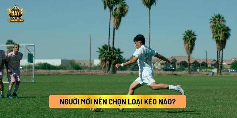 Người Mới Nên Chọn Loại Kèo Nào? 