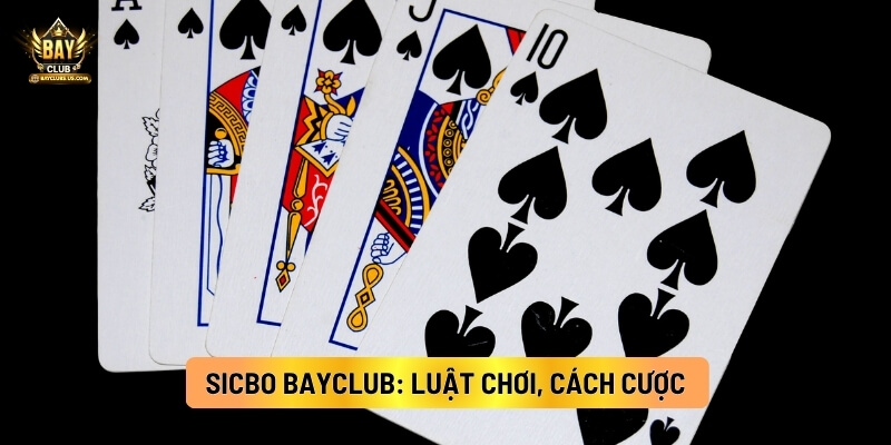 Sicbo Bayclub: Luật Chơi, Cách Cược Và Mẹo Chơi Chi Tiết