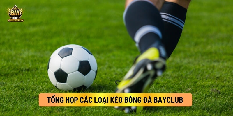 Tổng Hợp Các Loại Kèo Bóng Đá Bayclub Người Chơi Cần Biết